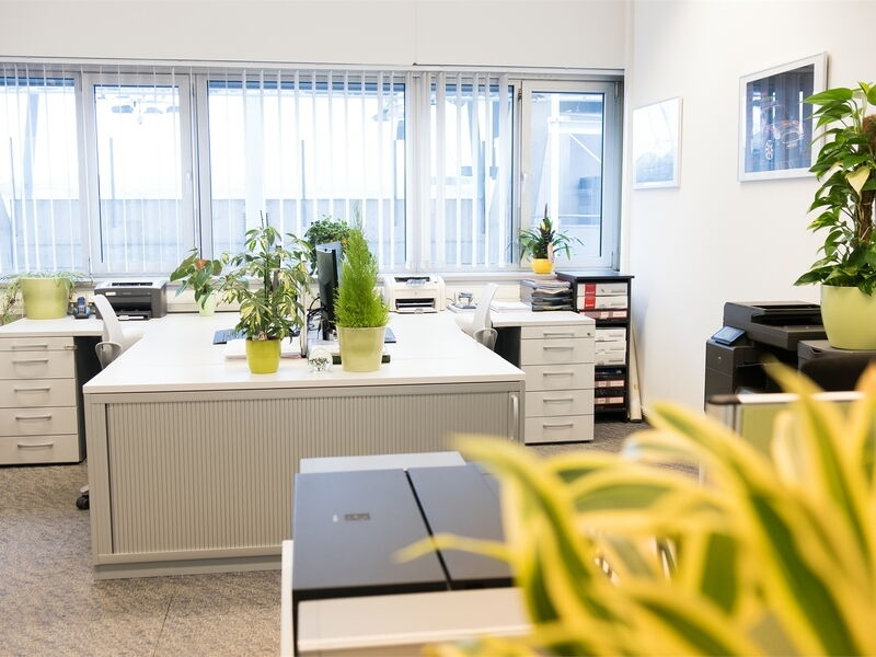 Helles und modernes Büroinnere mit großen weißen Schreibtischen, Bürogeräten und grünen Topfpflanzen vor einem Fenster mit Jalousien.