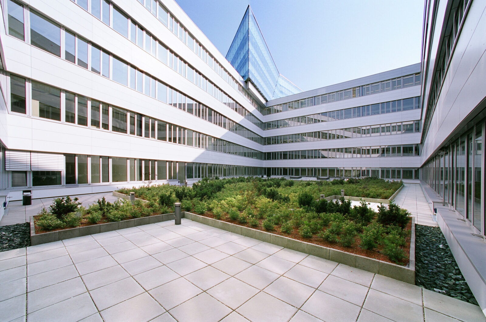 Interior courtyard and rooftop garden of a modern corporate office building with white facade and glass elements