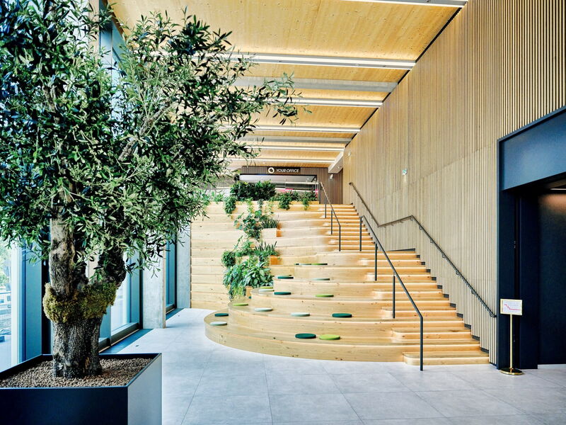 Contemporary office lobby featuring a grand wooden staircase with integrated seating cushions, slatted wood walls, and a large potted olive tree in the foreground.
