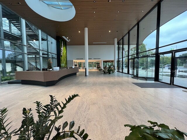Spacious and modern office building lobby featuring a wooden reception desk, large glass windows, and a plant in the foreground.
