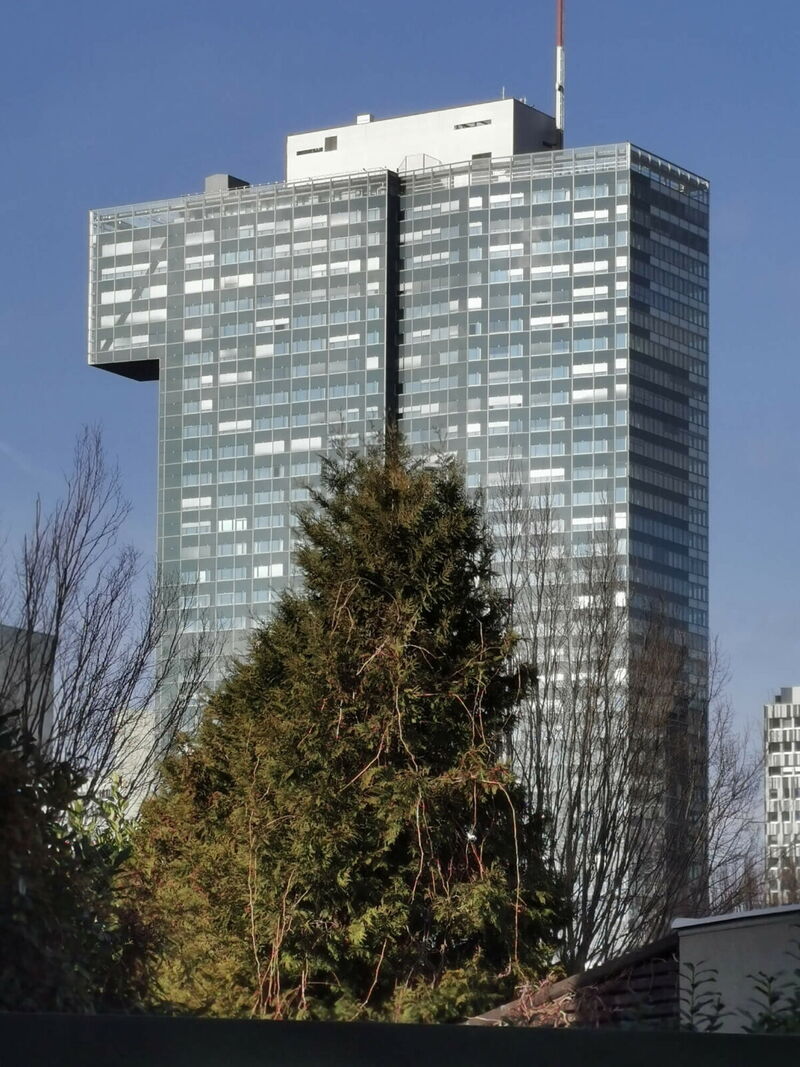 Modern high-rise building with glass facade and distinctive top section viewed behind a large conifer tree
