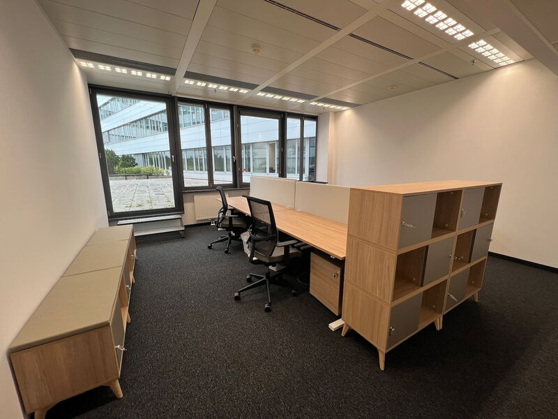 Geräumiges, modernes Büro mit ergonomischen Schreibtischen, Drehstühlen und Holzregalen an großen Fenstern.